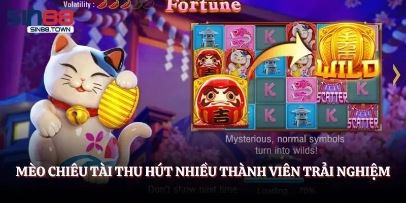 Mèo chiêu tài thu hút nhiều thành viên trải nghiệm